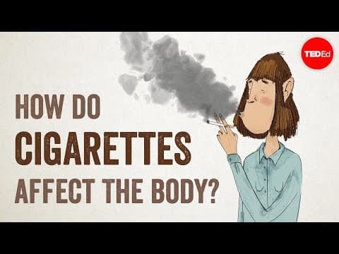 How do cigarettes affect the body? - Krishna Sudhir thumbnail