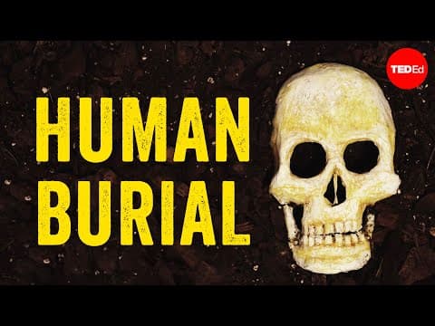 What happens to our bodies after we die? - Farnaz Khatibi Jafari thumbnail