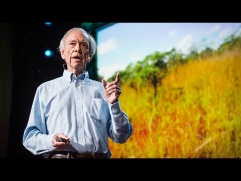 How to green the world's deserts and reverse climate change | Allan Savory thumbnail